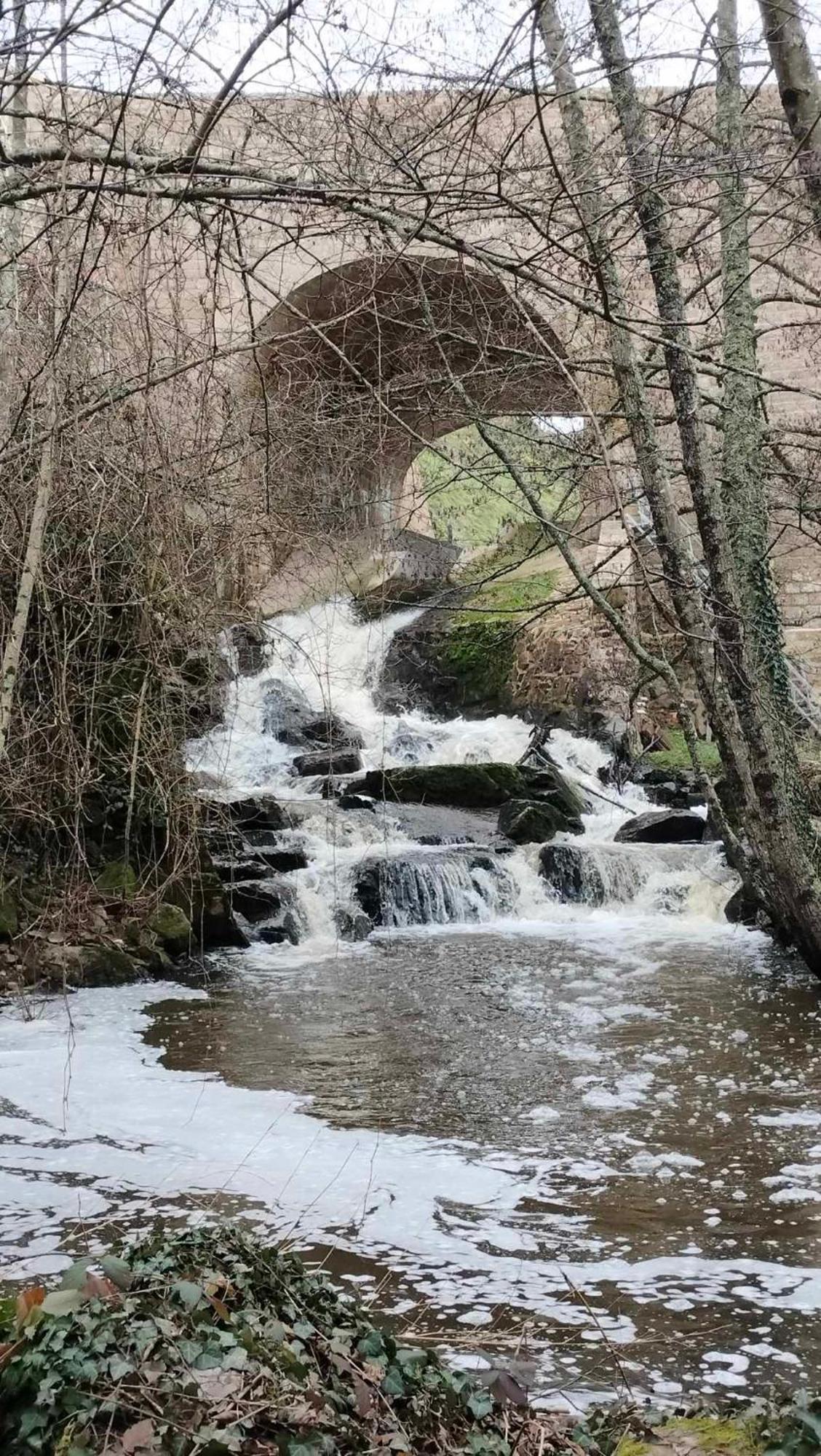 Gite "La Petite" Saint-Benoit-du-Sault Esterno foto